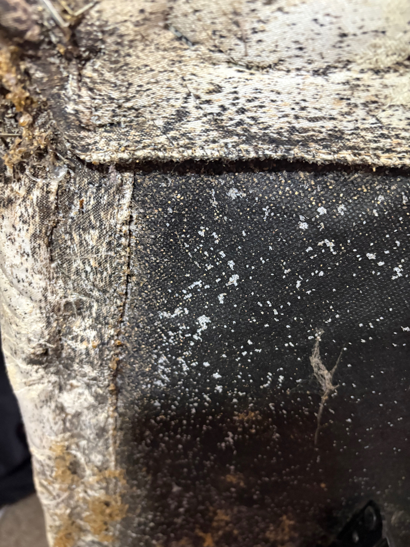 KO Pest Control - Schofield, WI