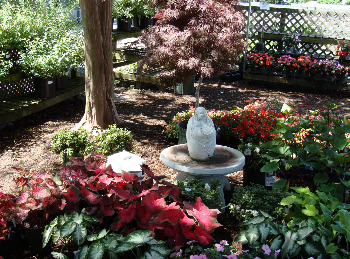 Lords Landscaping Image