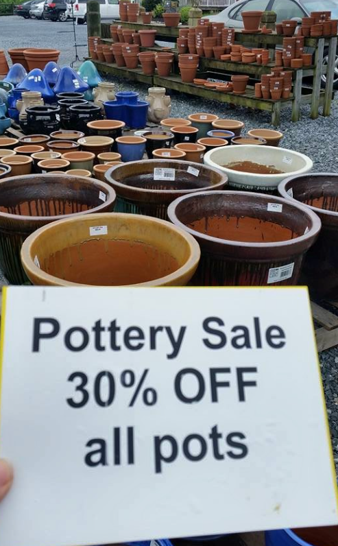 Lords Landscaping Image