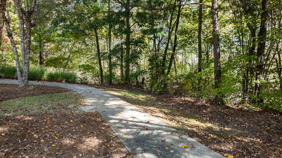 Hamptons at Riverwood North by D.R. Horton Image