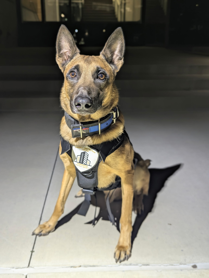 Priority Protection Group Image