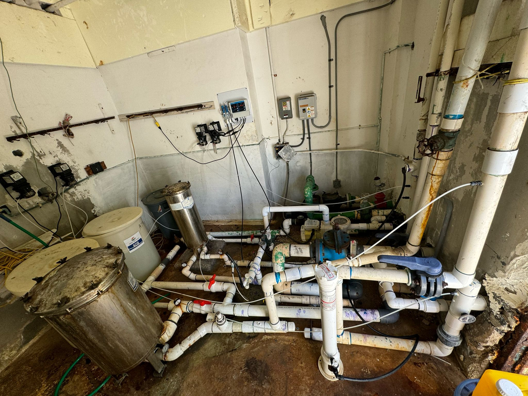 Perfect Day Pools Image