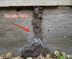 Archuleta Pest Control - Clovis, CA