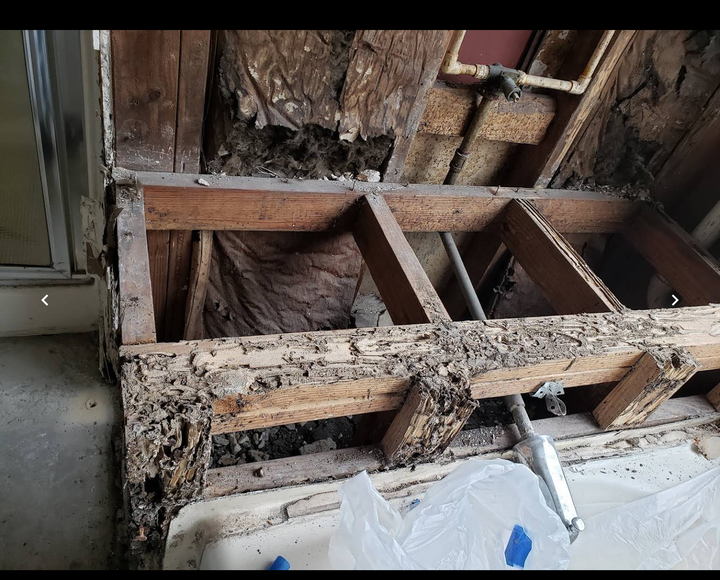 Archuleta Pest Control - Clovis, CA