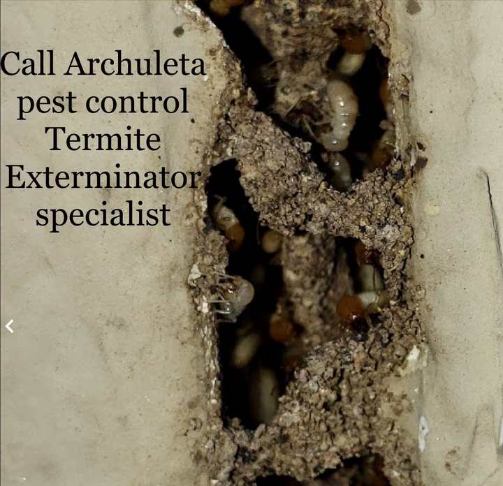 Archuleta Pest Control - Clovis, CA
