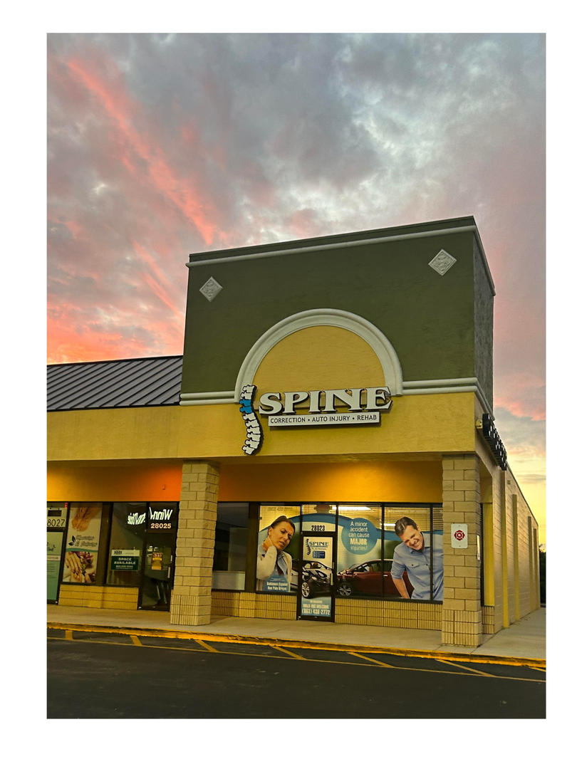 Dr. Ali Hamtaee, DC - Spine Correction - Dundee, FL