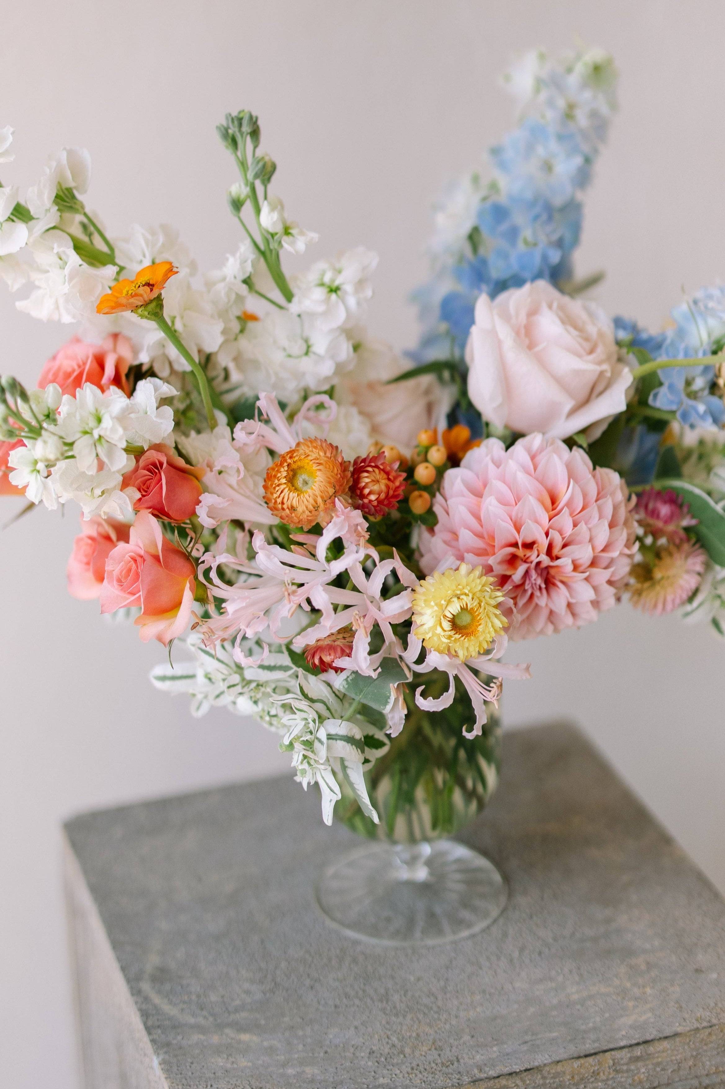 Brownstone Botanical Image