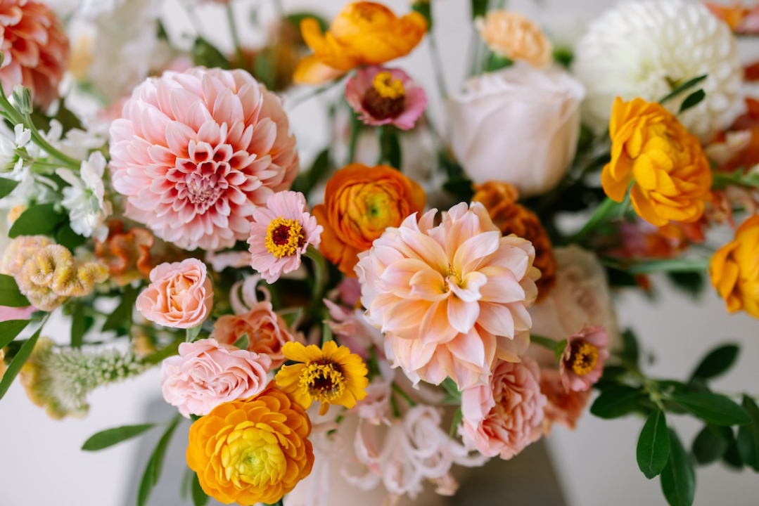 Brownstone Botanical Image