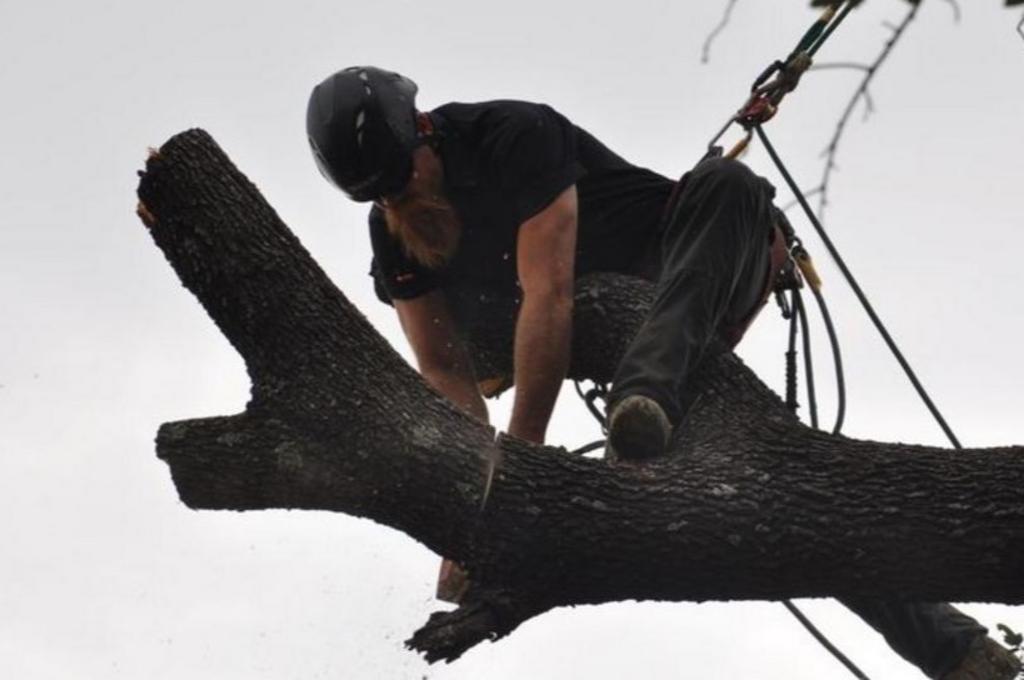 High Reach Tree Service - Granbury, TX
