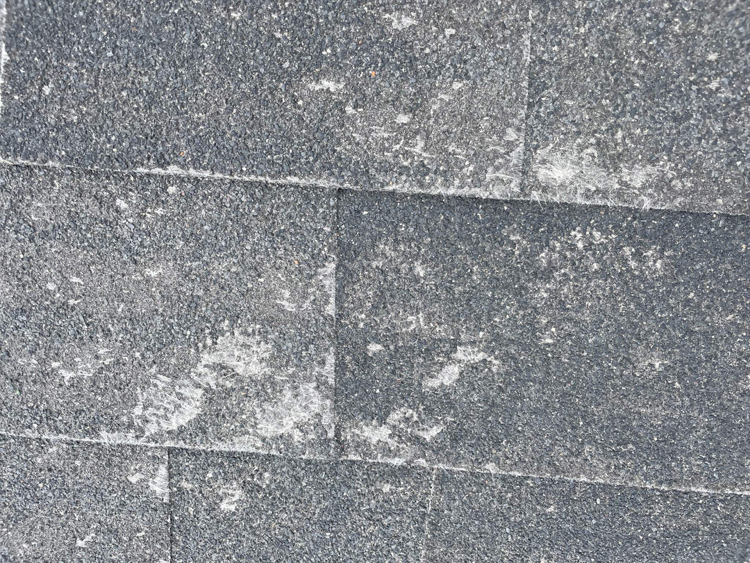 Novus Roofing and Exteriors Image