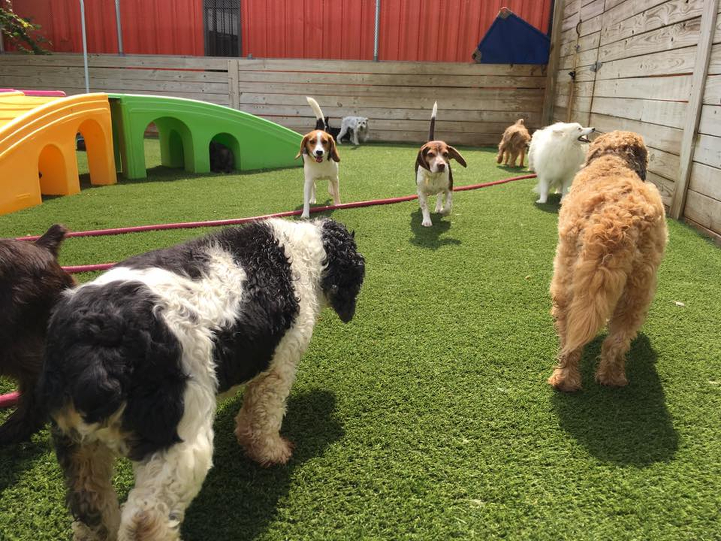 Barney's Ranch - Carrollton, TX