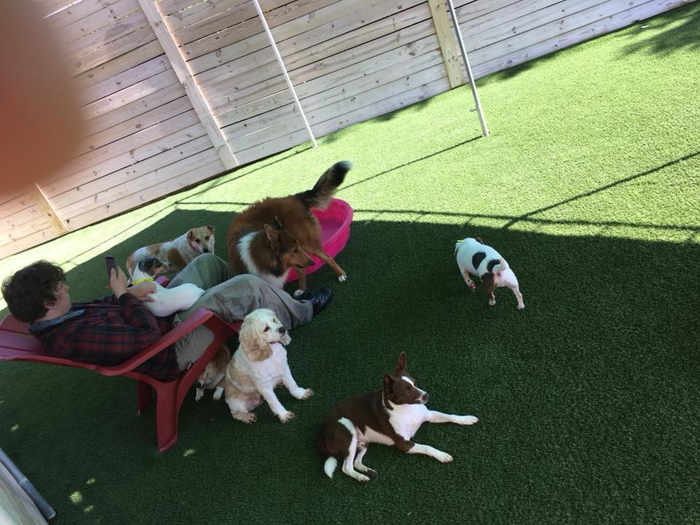 Barney's Ranch - Carrollton, TX