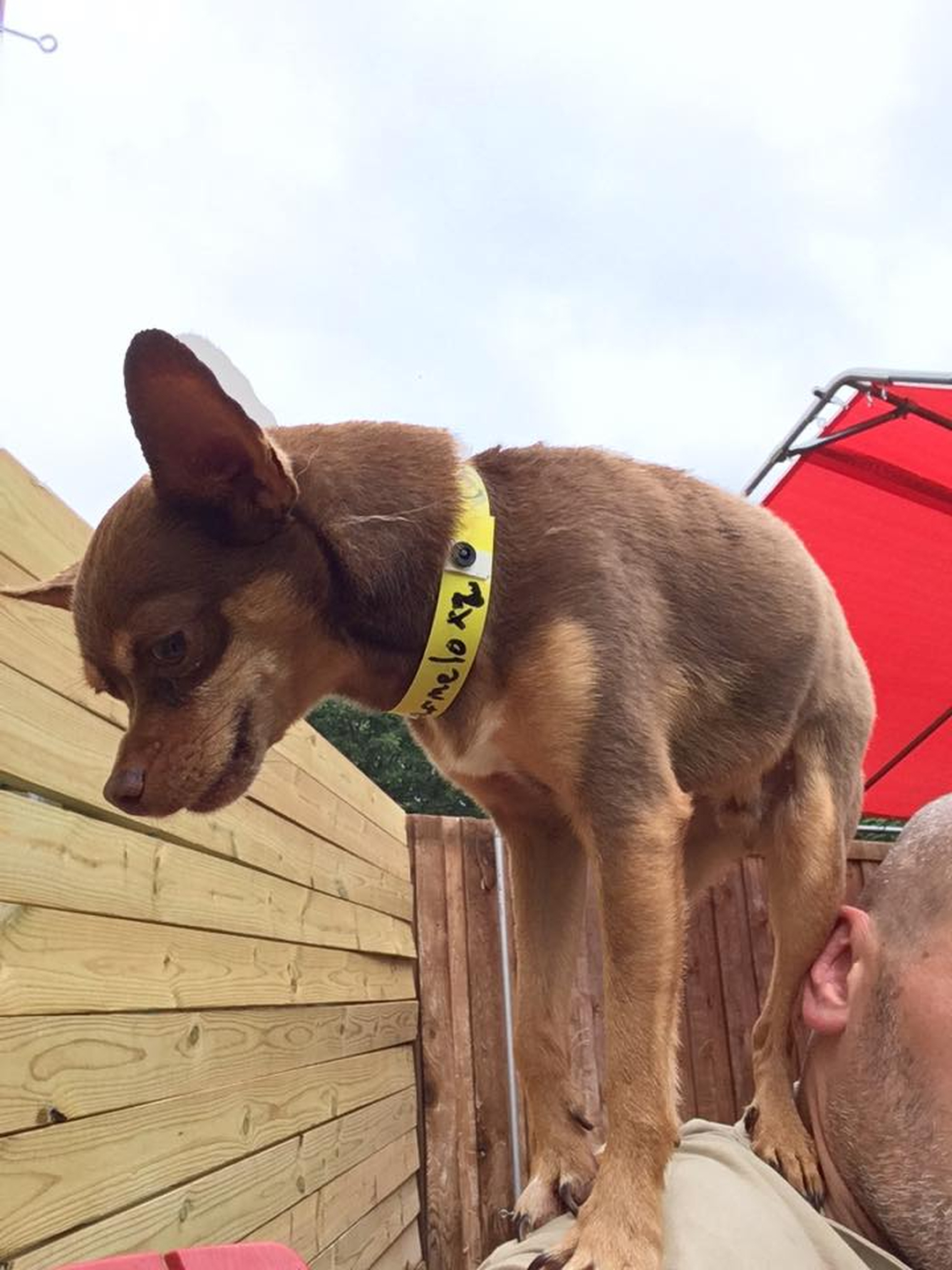 Barney's Ranch - Carrollton, TX