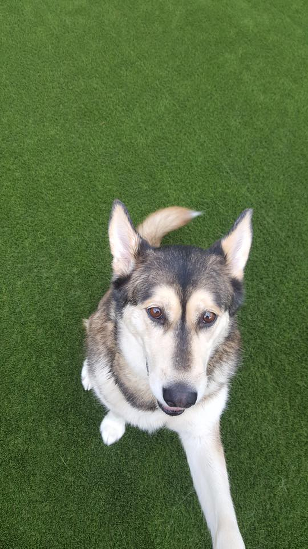 Barney's Ranch - Carrollton, TX