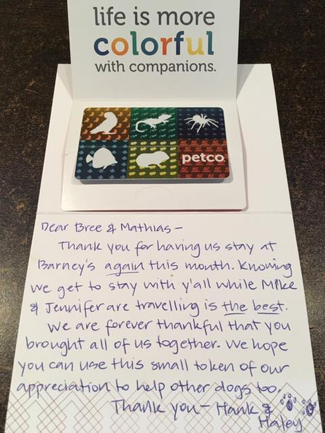 Barney's Ranch - Carrollton, TX