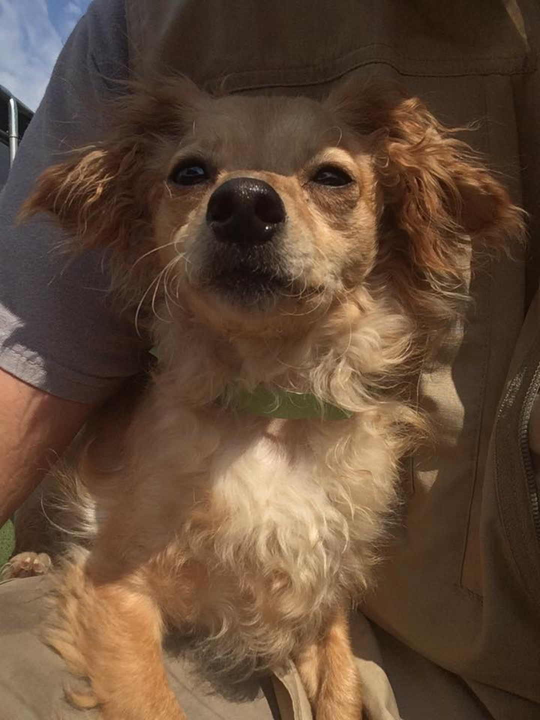 Barney's Ranch - Carrollton, TX