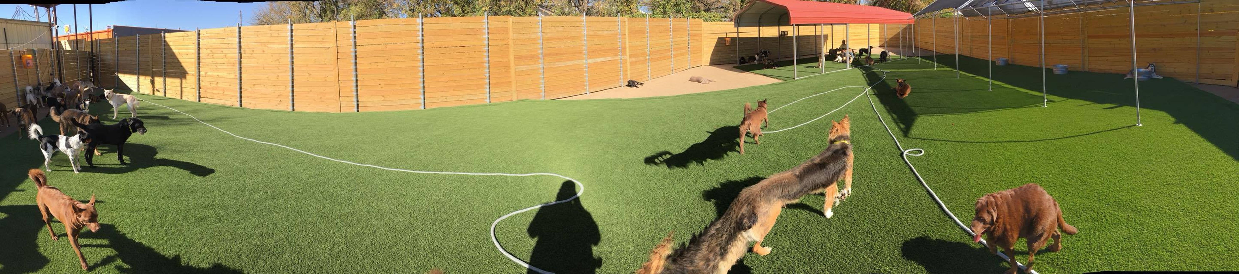 Barney's Ranch - Carrollton, TX