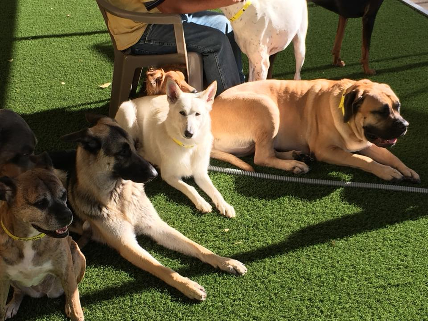 Barney's Ranch - Carrollton, TX