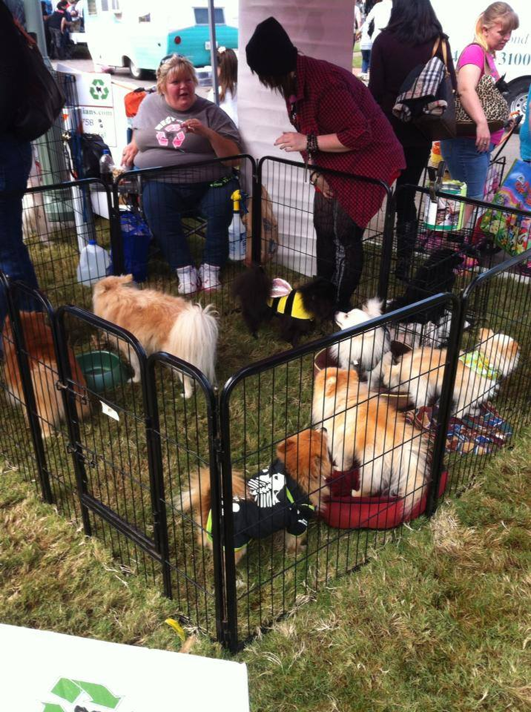 Barney's Ranch - Carrollton, TX