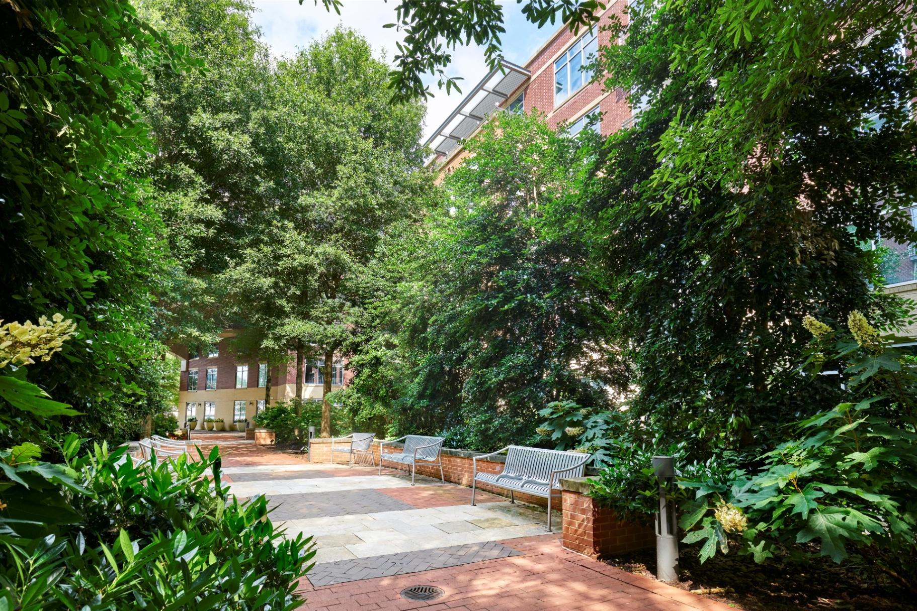 The Point at Falls Church - Arlington, VA