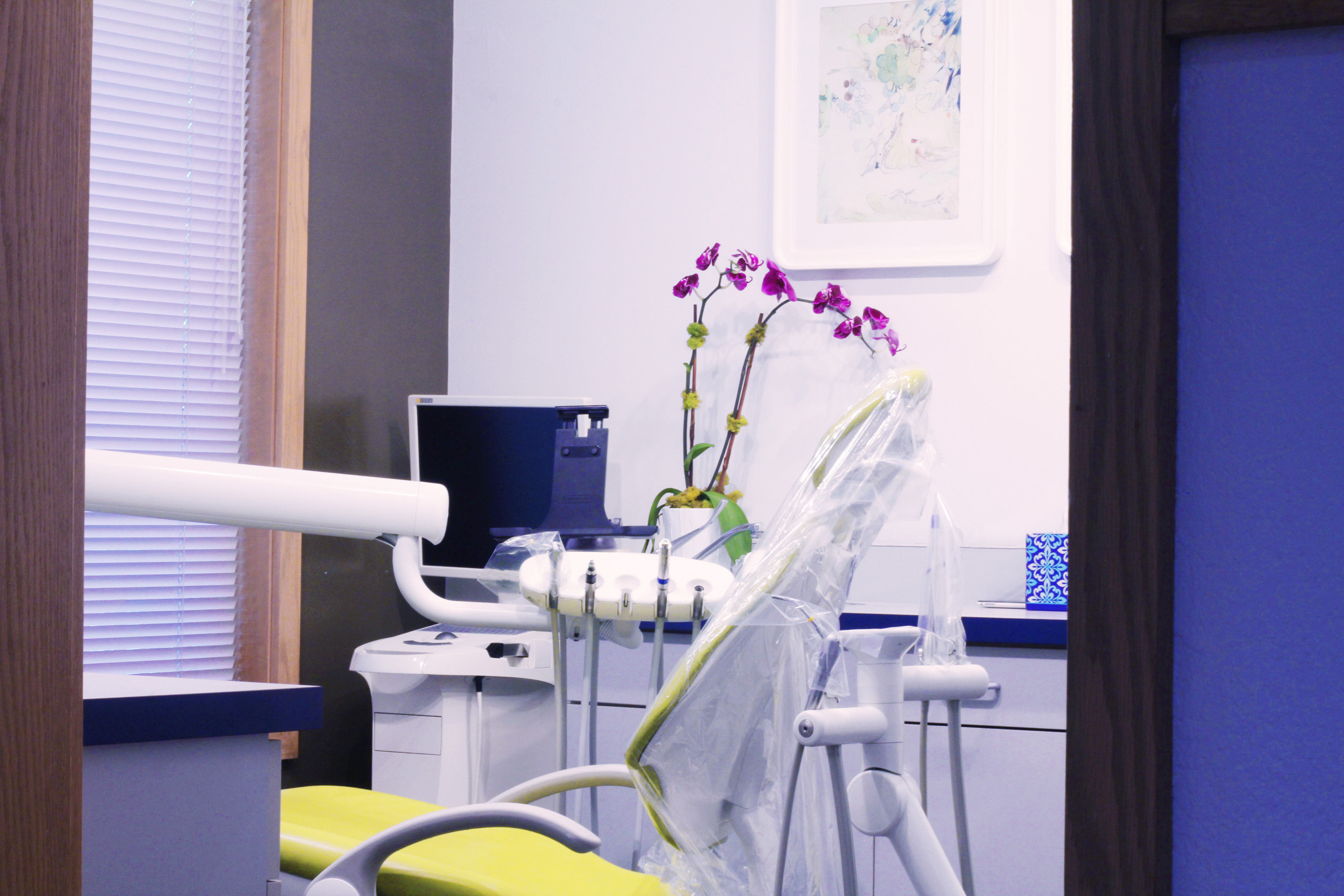 Beautiful Smiles - James Yang, DDS Image