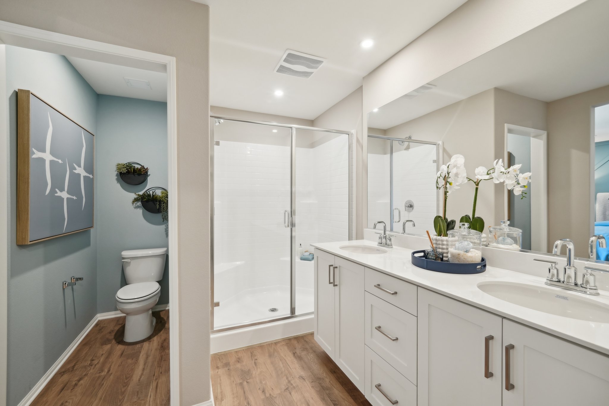 Citrus Lane by D.R. Horton Image