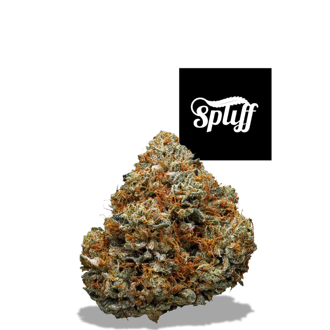 Spliff Nation Dispensary Image