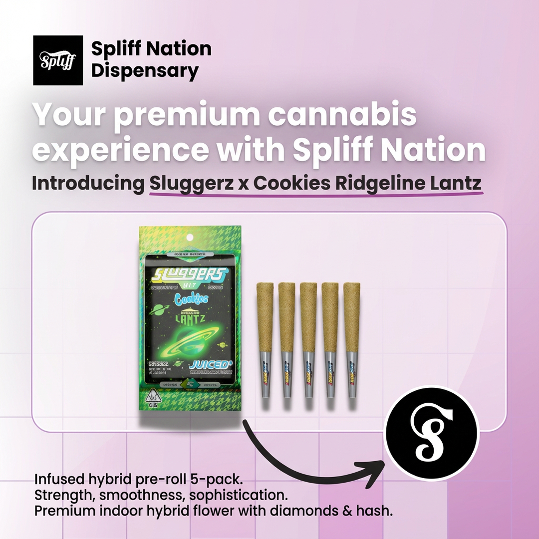 Spliff Nation Dispensary Image