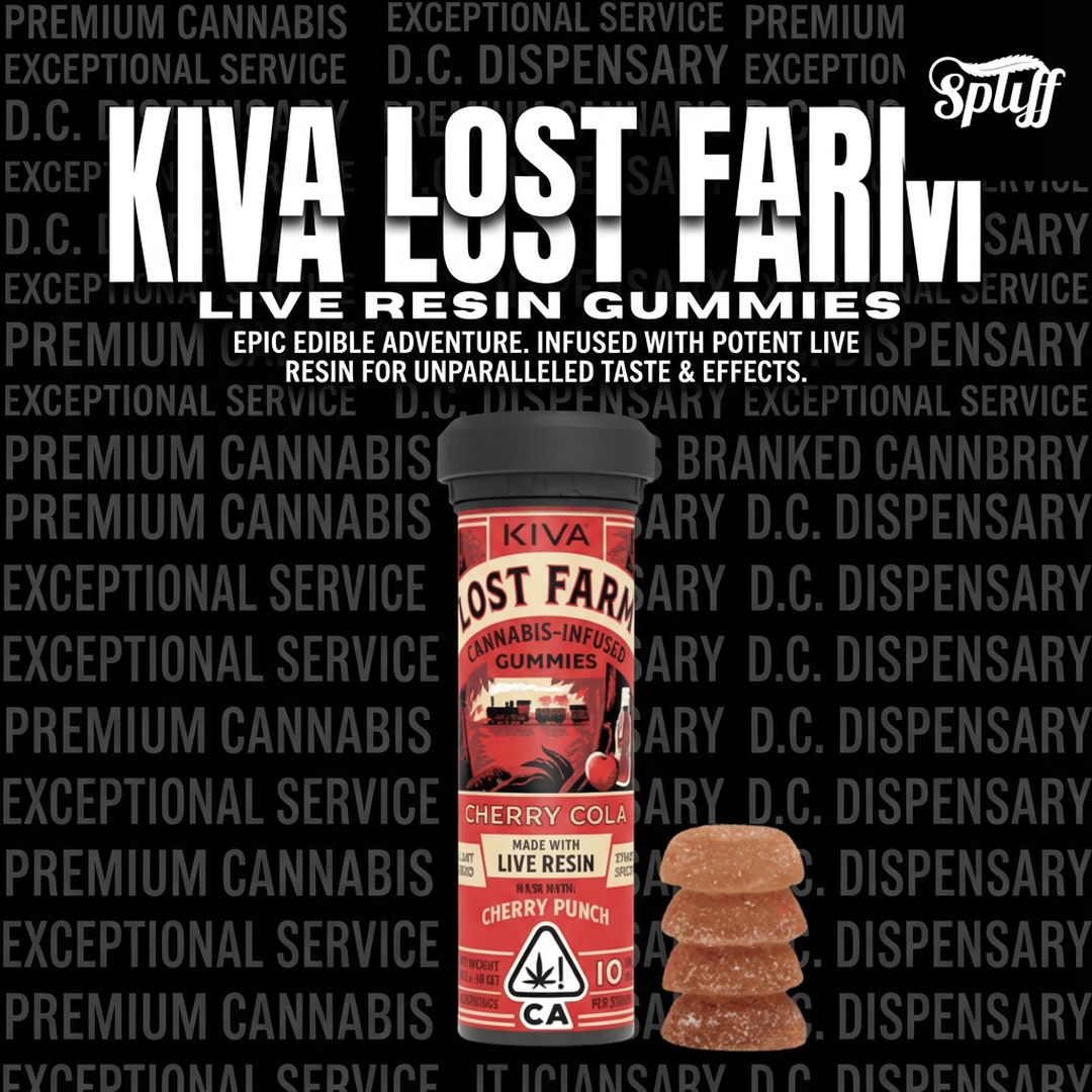 Spliff Nation Dispensary Image