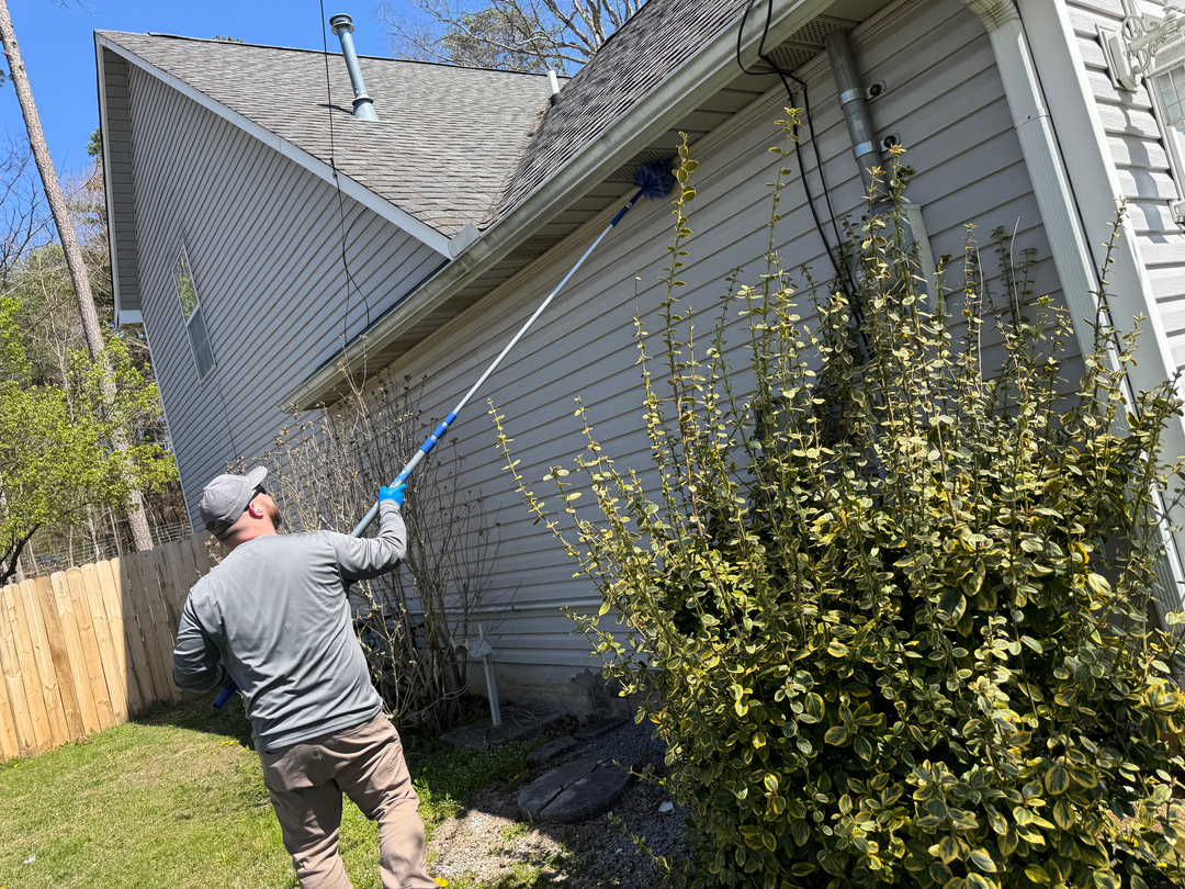 Colonial Pest Control - Knoxville, TN
