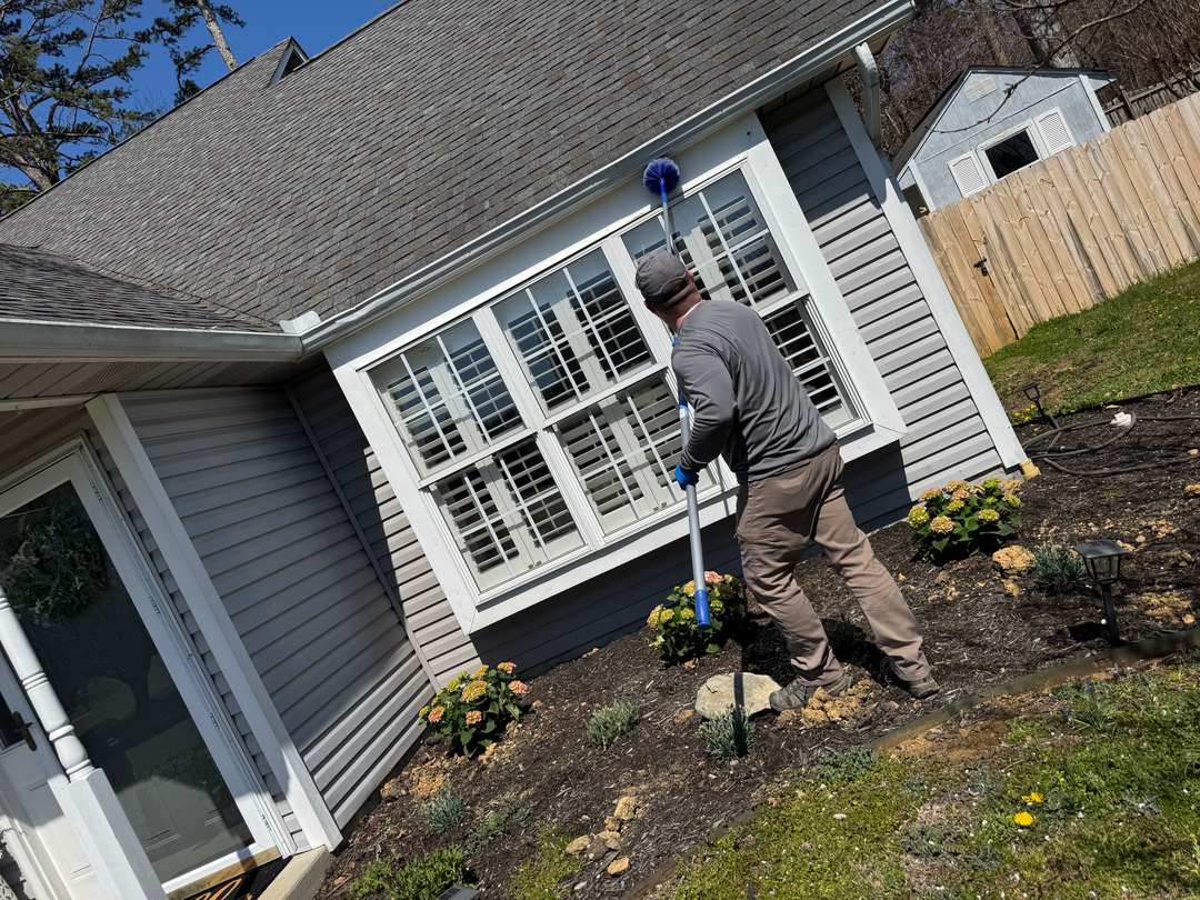 Colonial Pest Control - Knoxville, TN