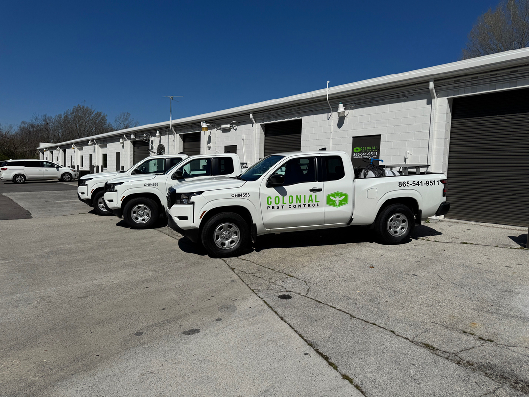 Colonial Pest Control - Knoxville, TN