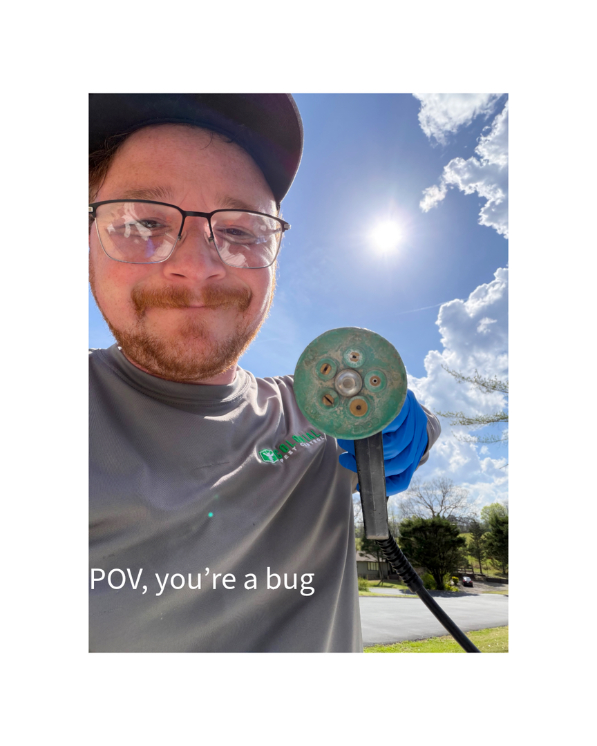Colonial Pest Control - Knoxville, TN