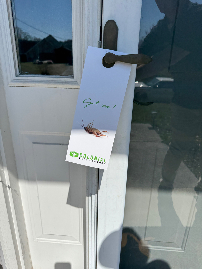 Colonial Pest Control - Knoxville, TN