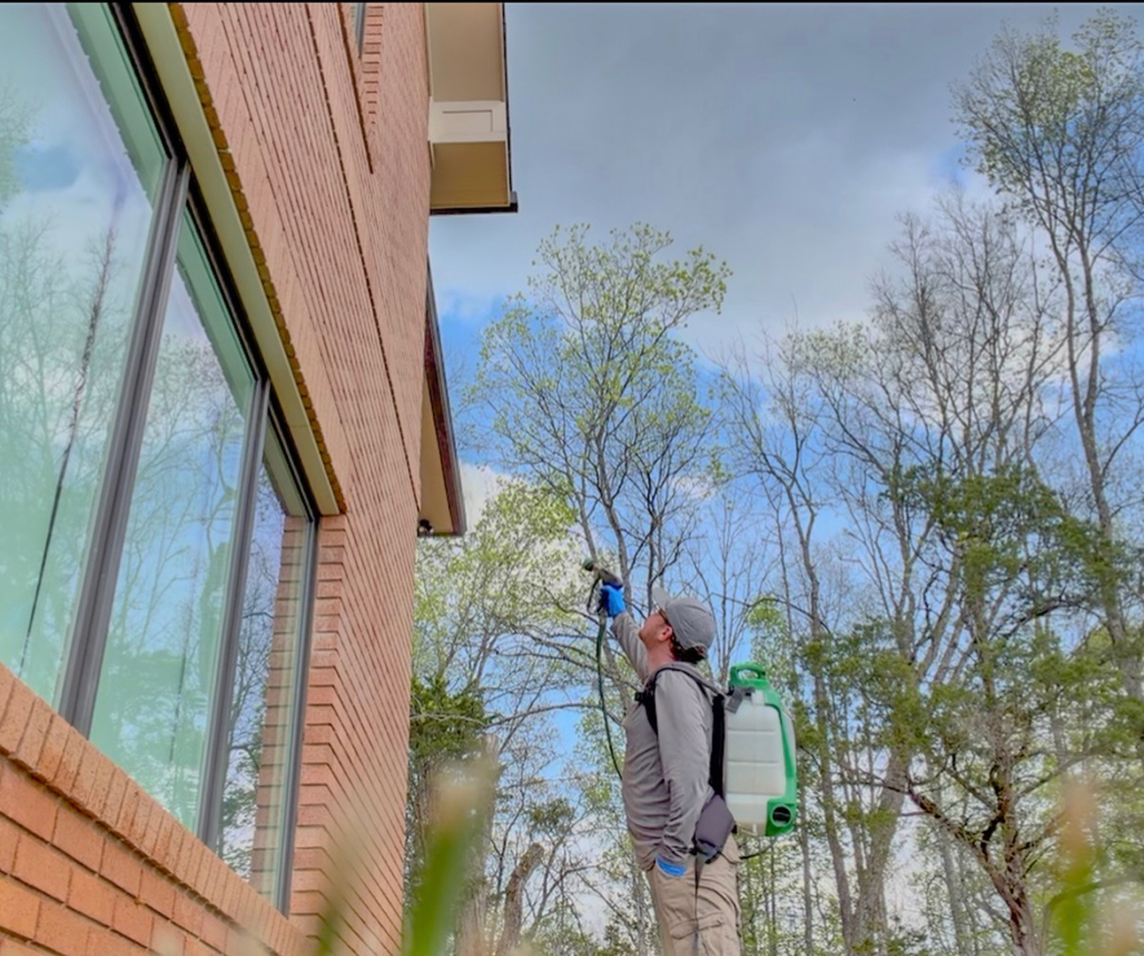 Colonial Pest Control - Knoxville, TN
