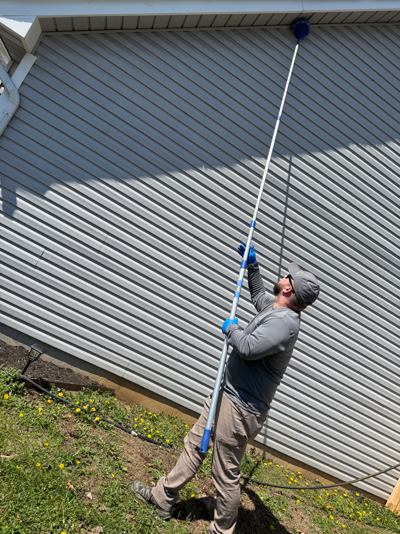 Colonial Pest Control - Knoxville, TN