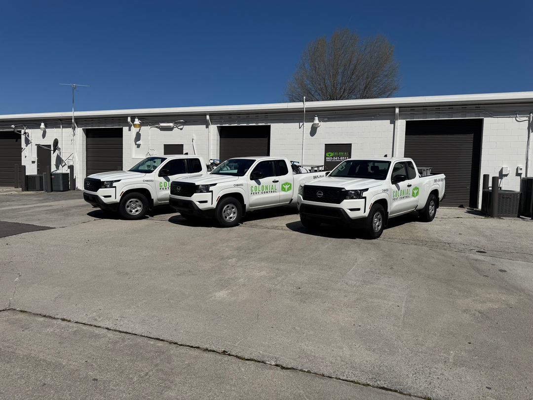 Colonial Pest Control - Knoxville, TN