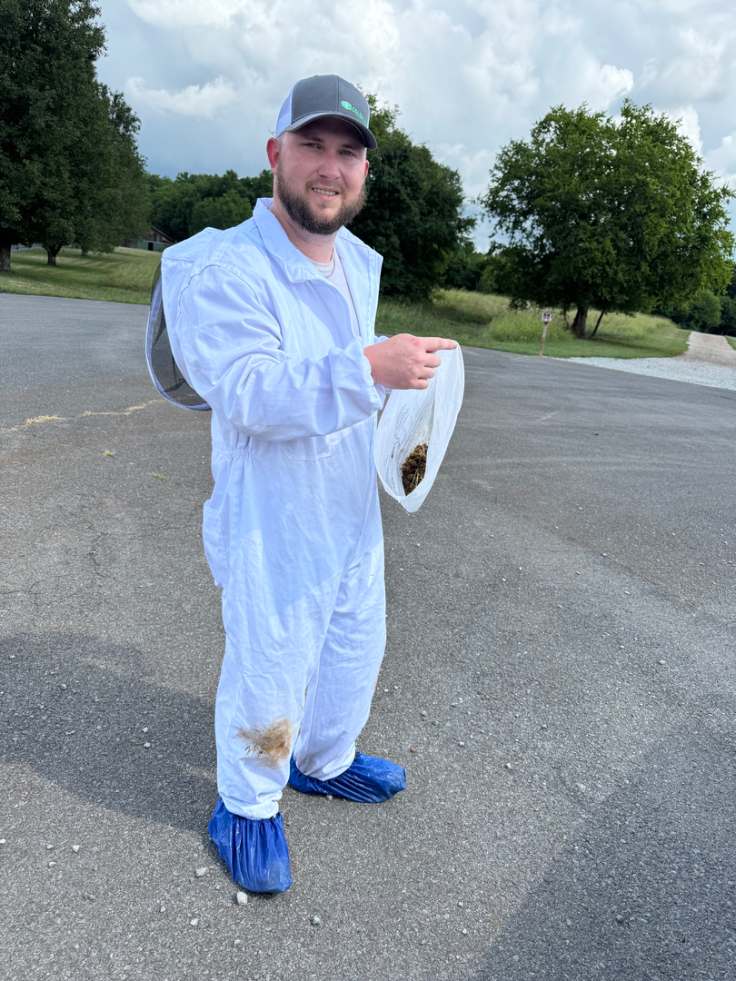 Colonial Pest Control - Knoxville, TN
