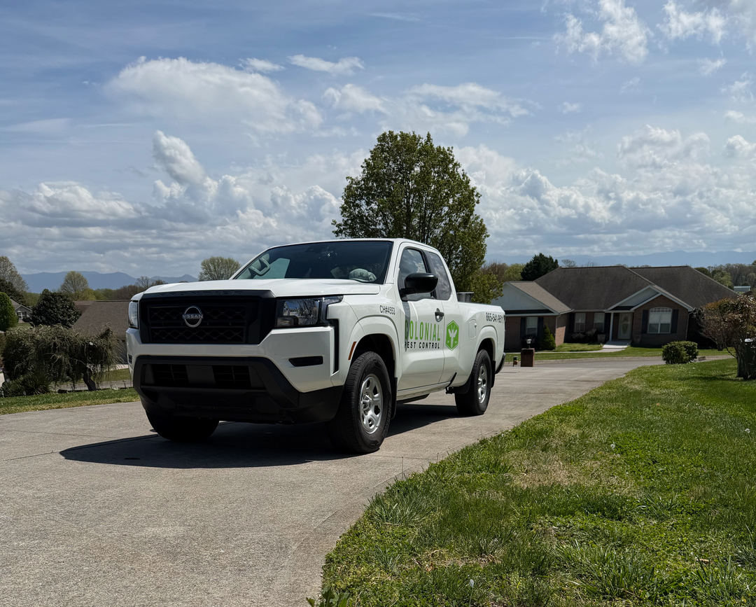 Colonial Pest Control - Knoxville, TN
