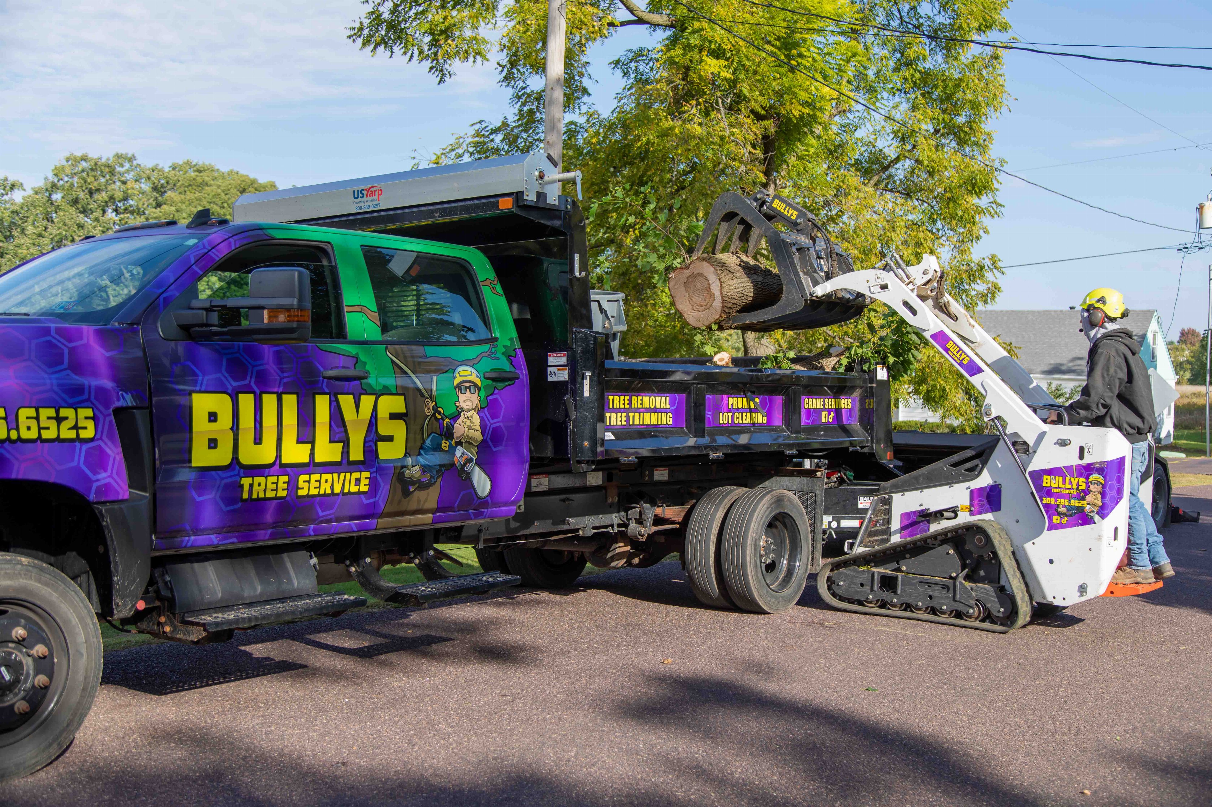 Bullys Tree Service - Washington, IL
