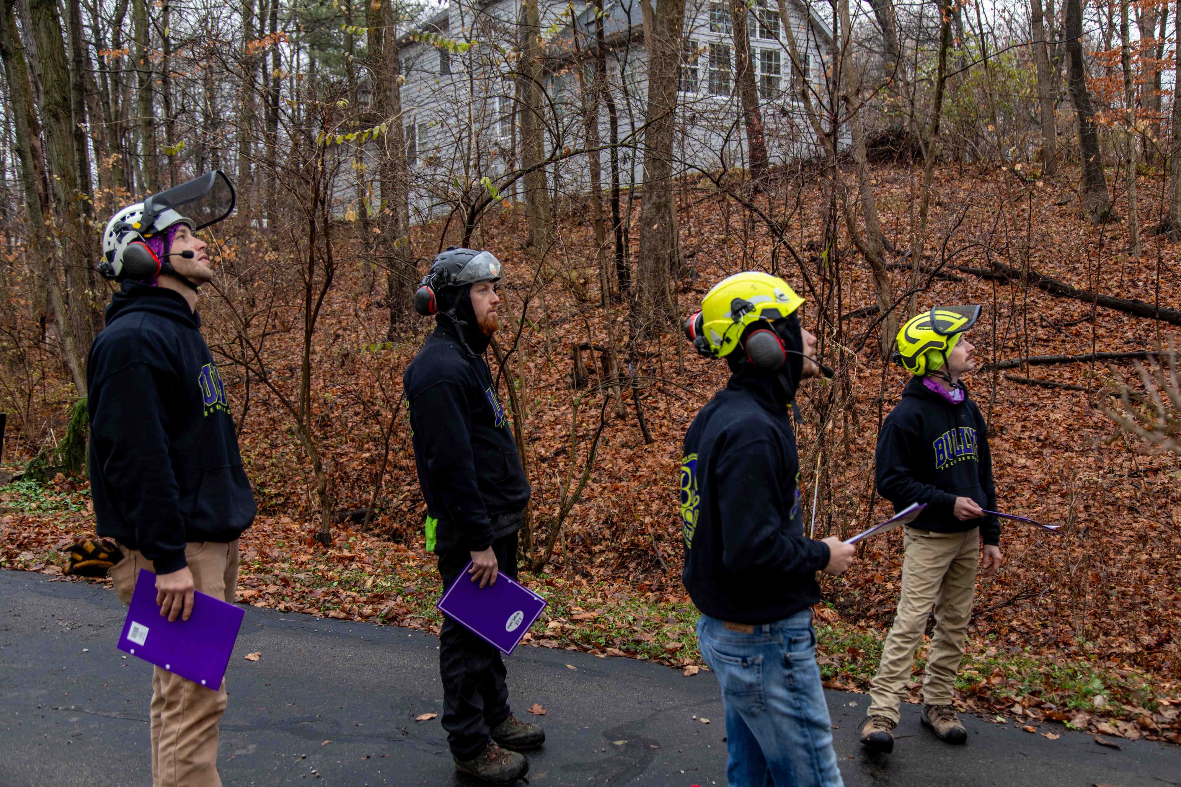 Bullys Tree Service - Washington, IL