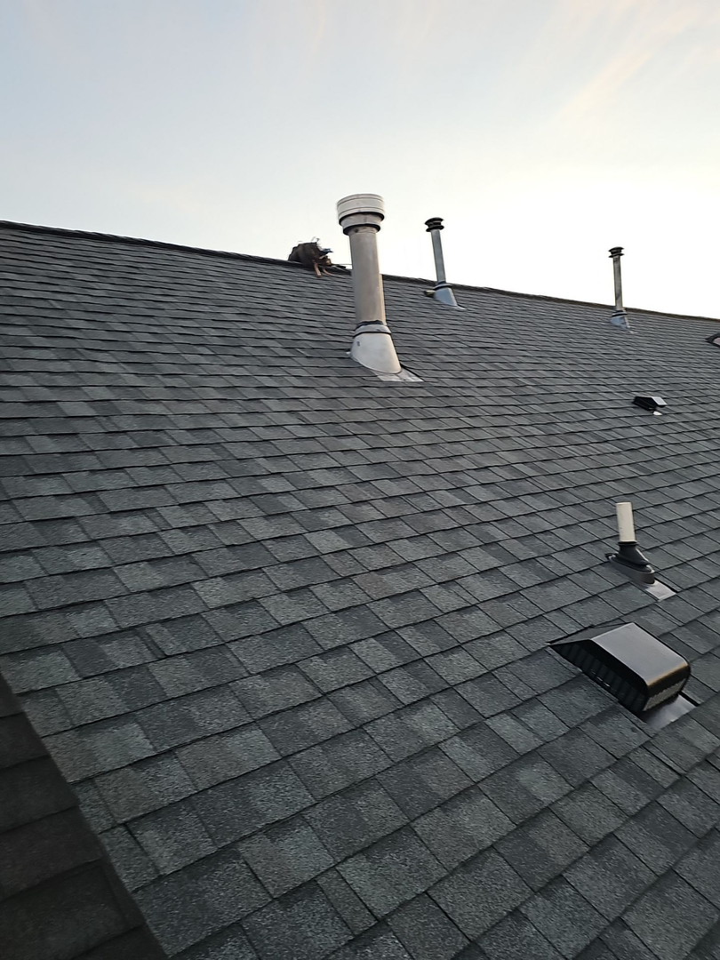 Loudoun Roofing Image