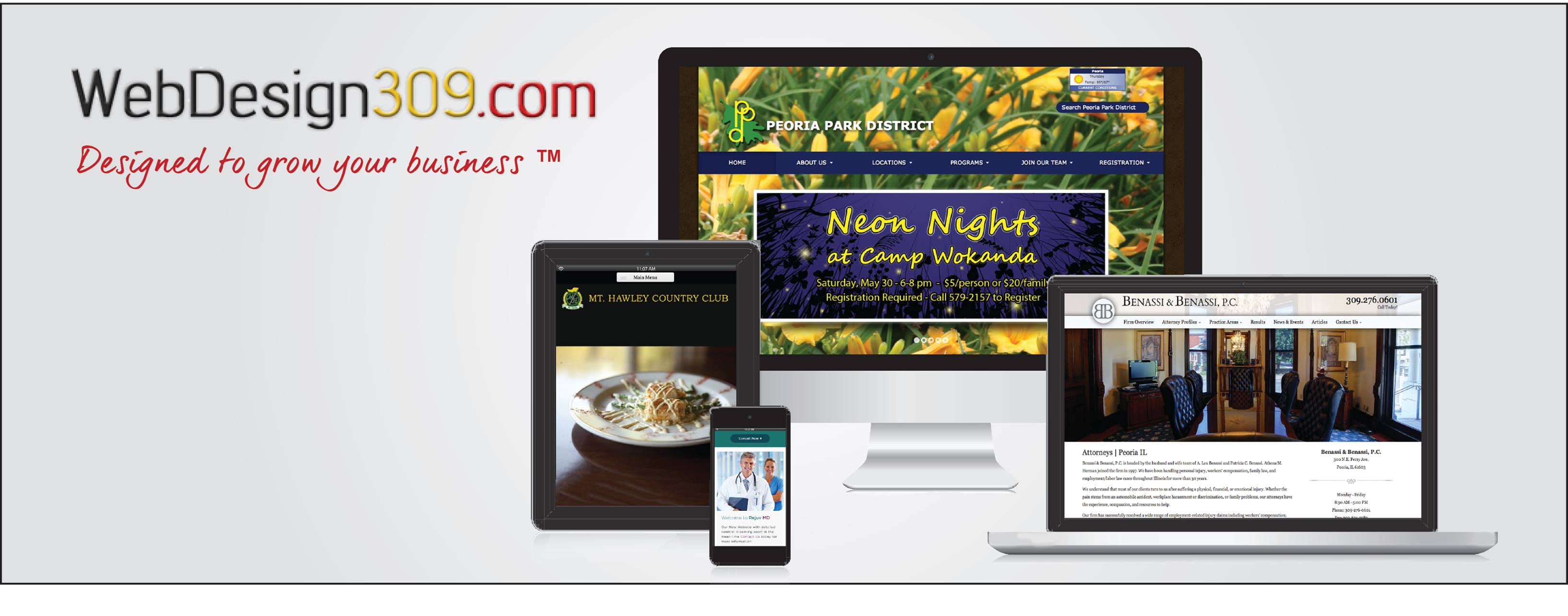 WebDesign309.com Schaumburg Image