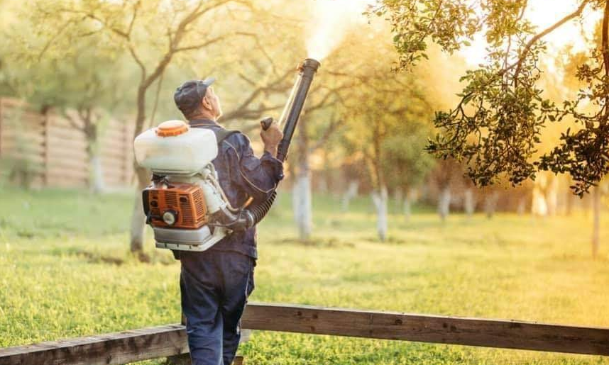Luxury Lawn & Mosquito Image