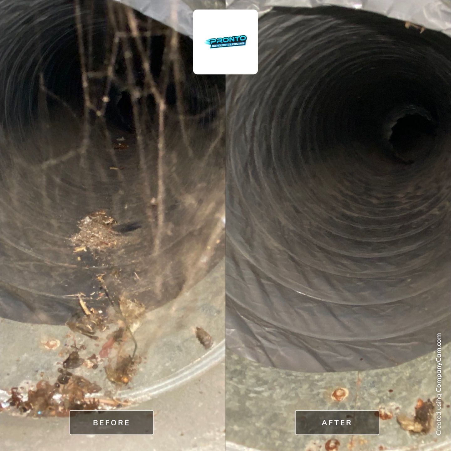 Pronto Air Duct Cleaning - Manassas, VA