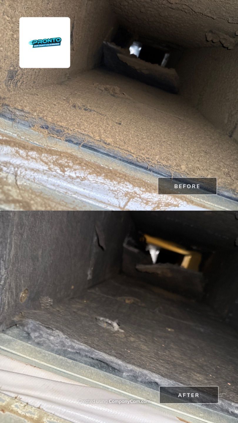 Pronto Air Duct Cleaning - Manassas, VA