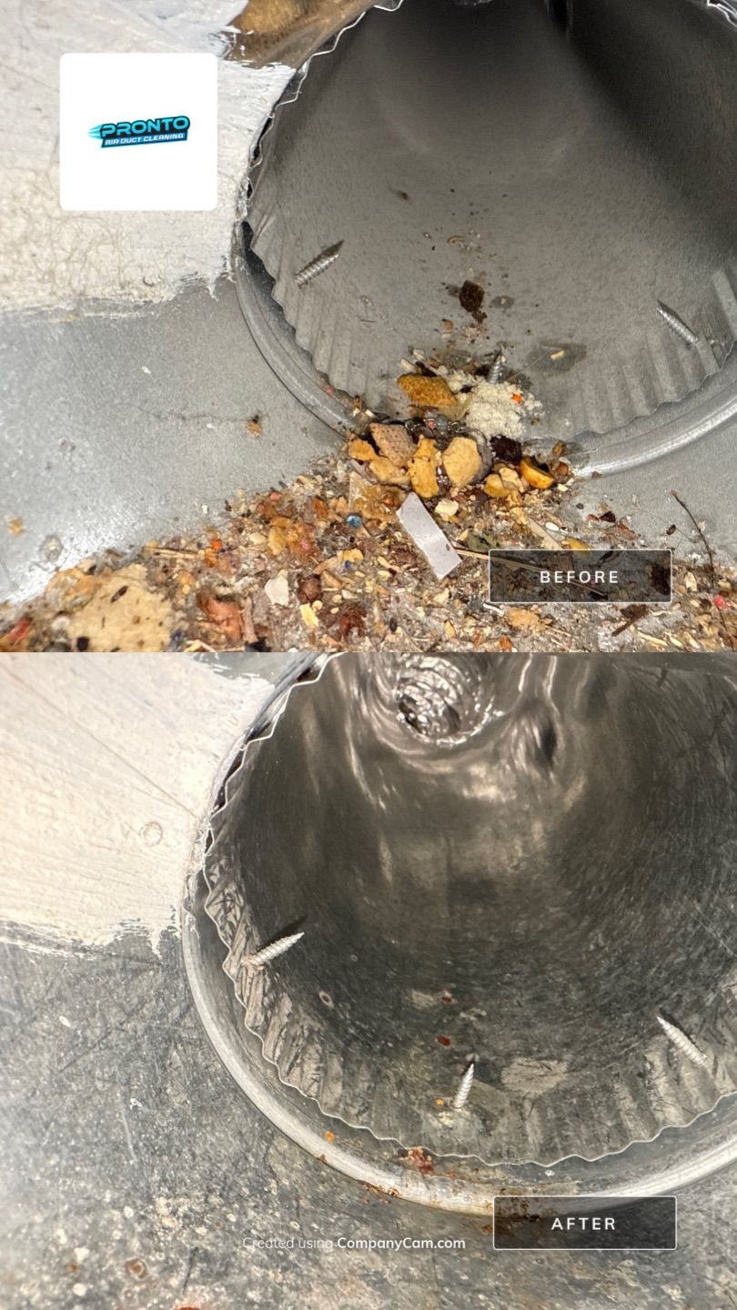 Pronto Air Duct Cleaning - Manassas, VA