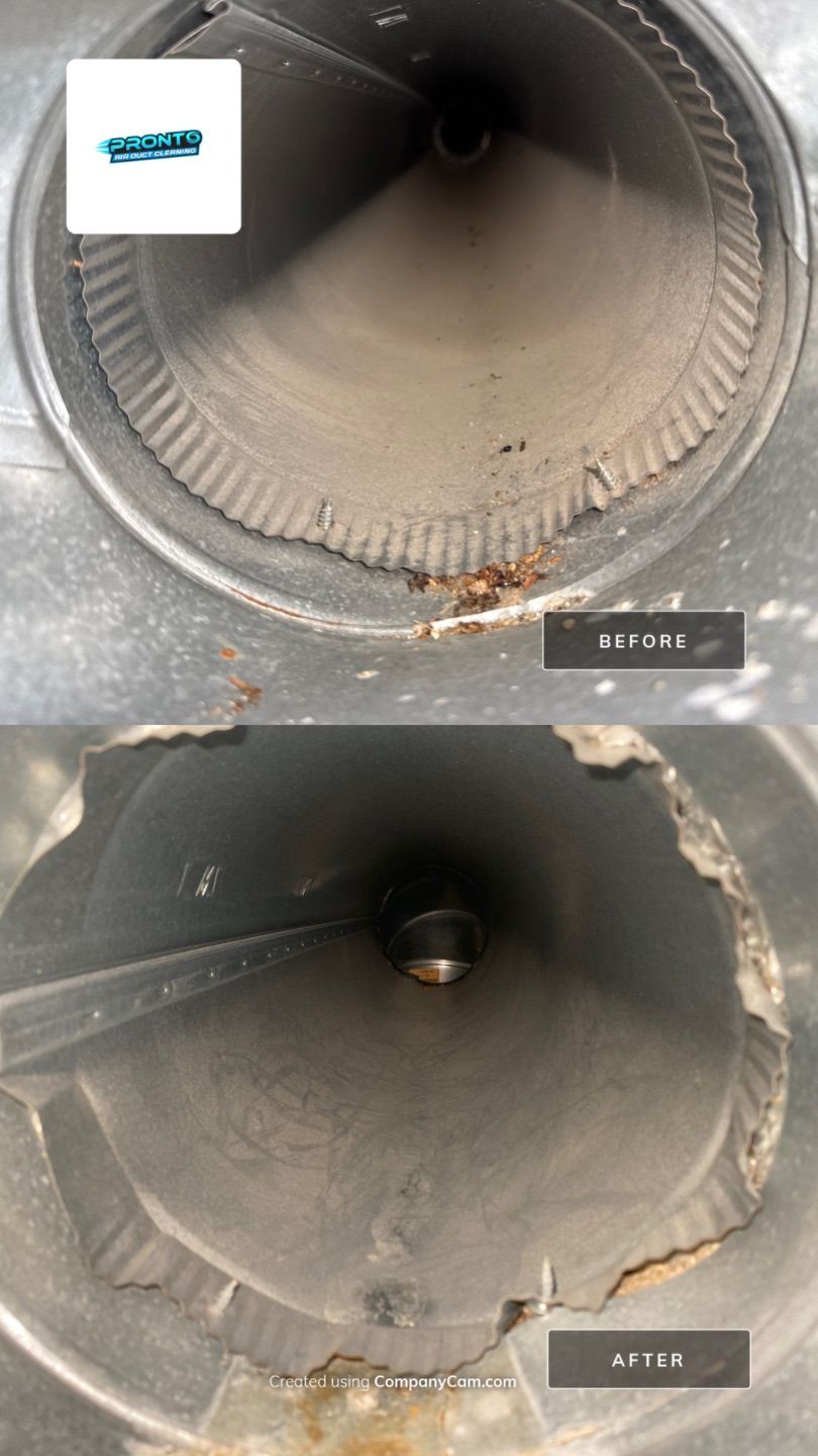 Pronto Air Duct Cleaning - Manassas, VA