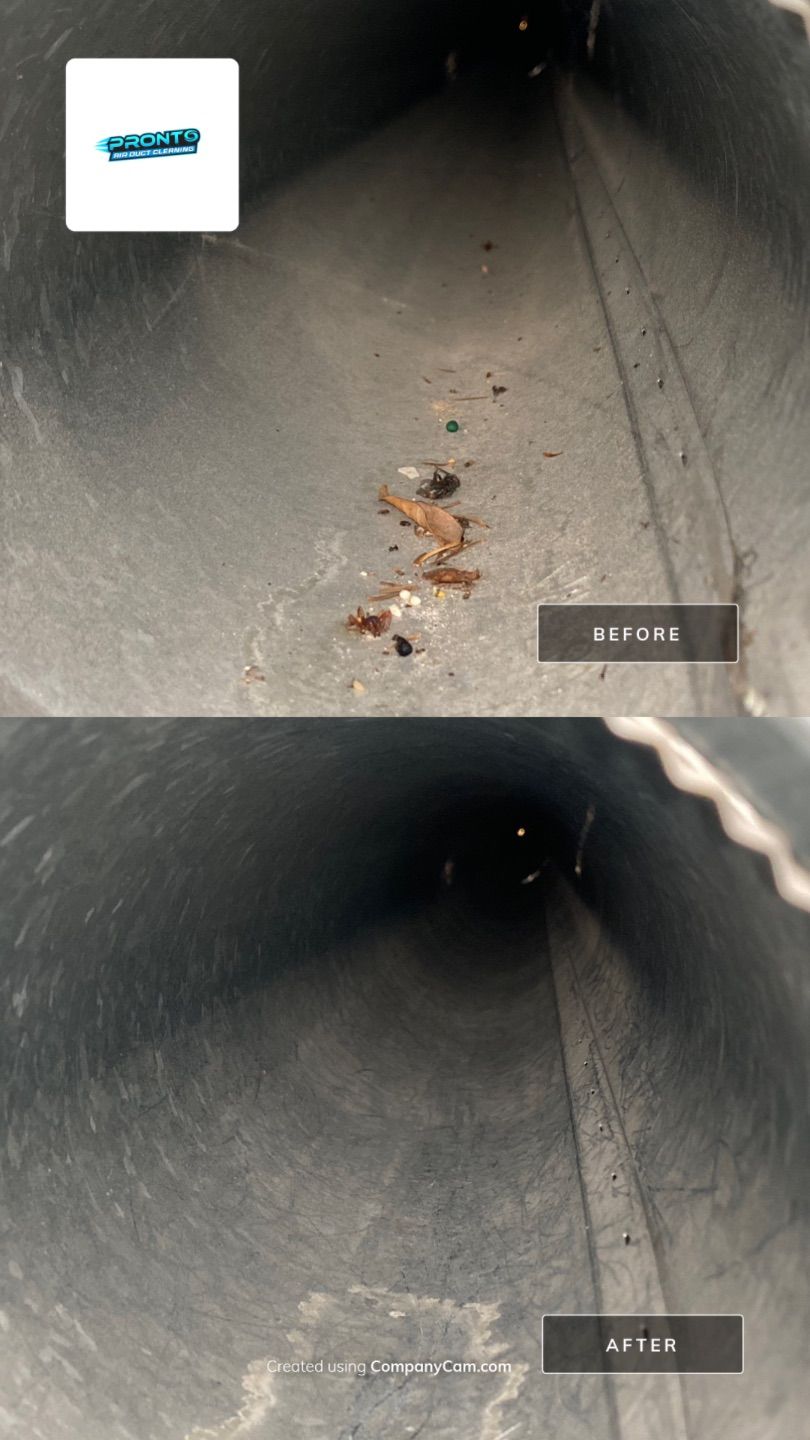 Pronto Air Duct Cleaning - Manassas, VA