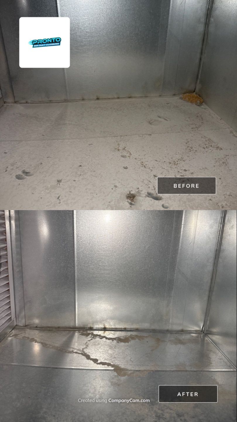 Pronto Air Duct Cleaning - Manassas, VA